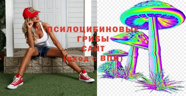дмт Алексин