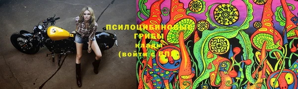 дмт Алексин